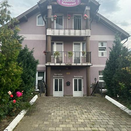 Pensiune Osanu Sibiu Dış mekan fotoğraf