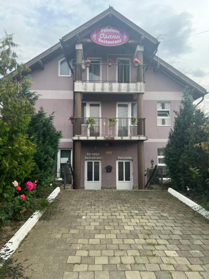 Pensiune Osanu Sibiu Dış mekan fotoğraf